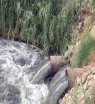 عين على الأحداث