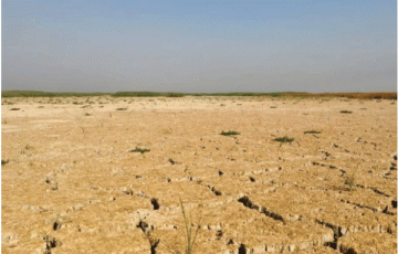 هور الحويزة .. ذاكرة الماء تتلاشى على أرض قاحلة