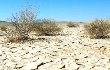 تحذيرات من تمدد التصحر في البلاد ومطالبات بحلول عاجلة لمواجهة أزمة المياه والجفاف