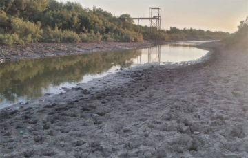 {بني هاشم} تموت عطشاً قرب الحقول النفطية.. ٤ سنوات من الجفاف والهجرة الصامتة!