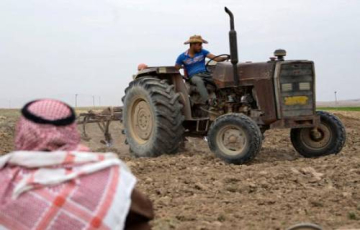 نصف الأراضي الزراعية في العراق خارج دائرة الإنتاج!