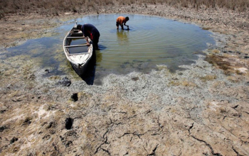 خبراء يحذرون: استمرار الإهمال البيئي يحول مساحات واسعة إلى صحراء قاحلة