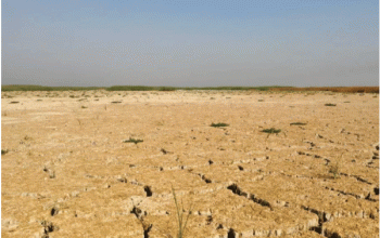 هور الحويزة .. ذاكرة الماء تتلاشى على أرض قاحلة