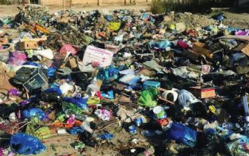انتشار الحشرات بكثافة في مناطق ديالى