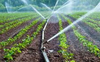 الزراعة الذكية للمحاصيل الاستراتيجية في العراق 