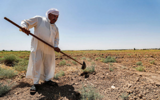 الزراعة العراقية وتحديات الري