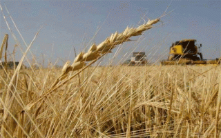 موسم مطري واعد.. بين فرص التعافي وضغوط رسم الخطط الزراعية